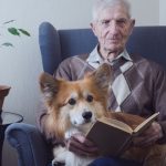 psia emerytura ile wynosi