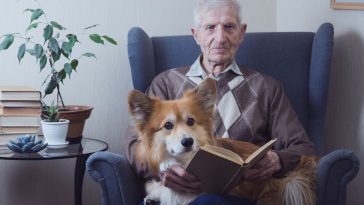 psia emerytura ile wynosi