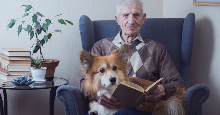 psia emerytura ile wynosi