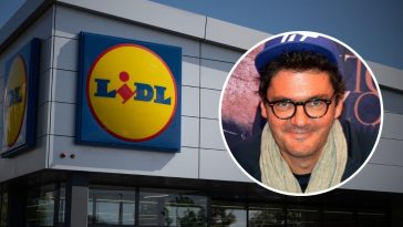 wojewódzki lidl biedronka