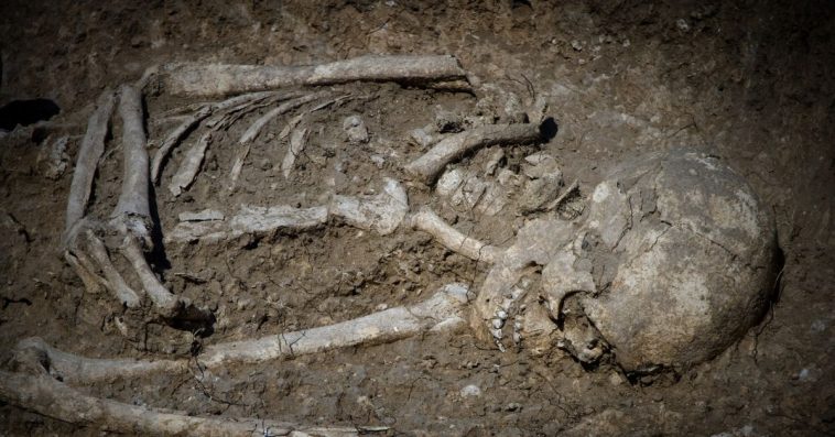 johann winkler lubań