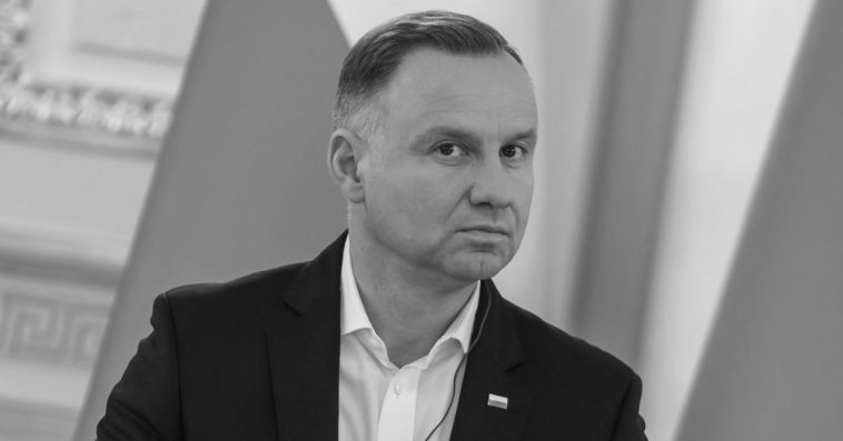 danuta wawrzynkiewicz