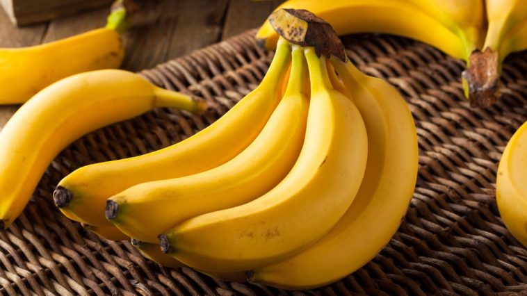 dlaczego banany są krzywe