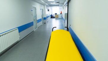 vital concept wrocław