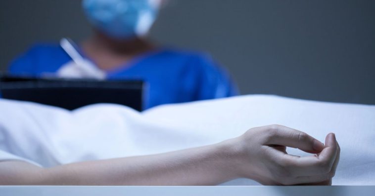 trupia farma w polsce