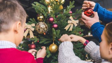 Co zrobić, żeby igły z choinki nie opadały