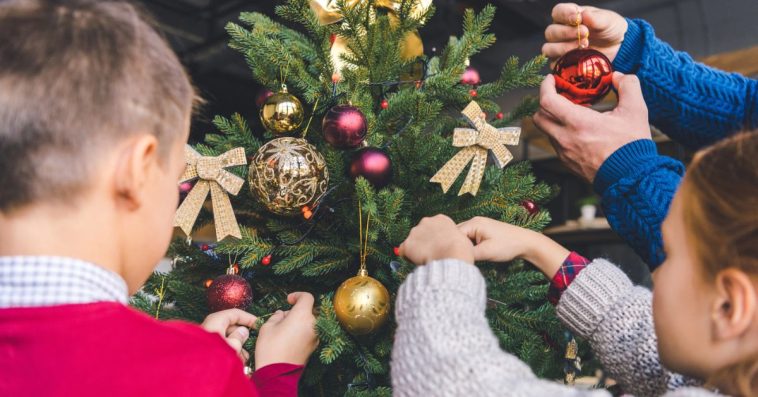 Co zrobić, żeby igły z choinki nie opadały
