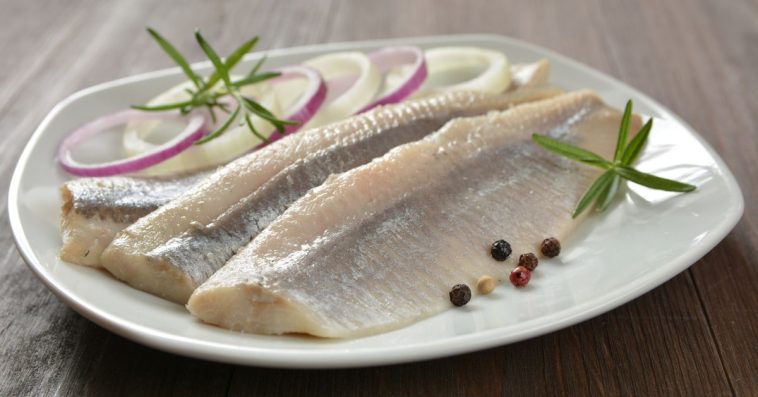 mlecz śledzie co to jest