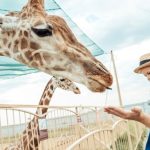 największe zoo w polsce i na świecie