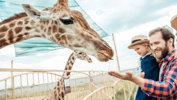 największe zoo w polsce i na świecie