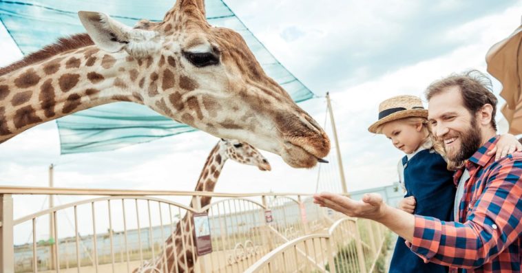 największe zoo w polsce i na świecie