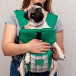 bykowe w polsce 2025