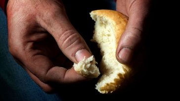 wysokość emerytury przedsiębiorcy