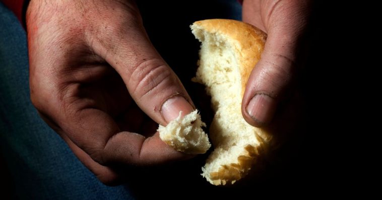 wysokość emerytury przedsiębiorcy