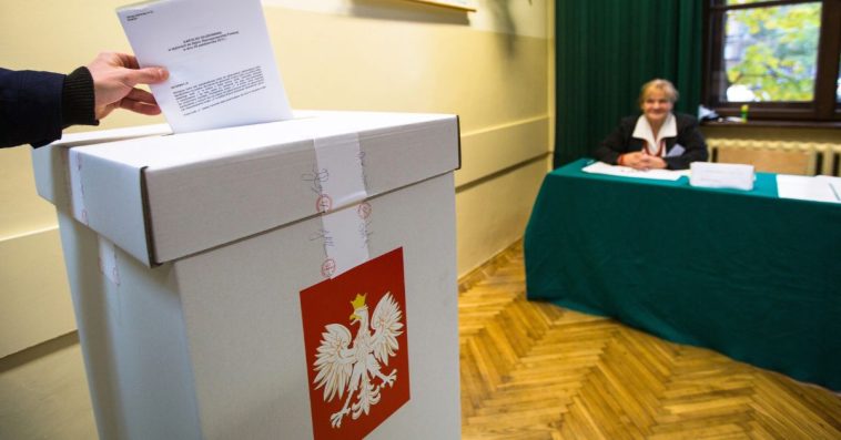 wybory ile można zarobić