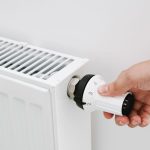 Co daje liść laurowy na grzejniku