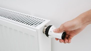 Co daje liść laurowy na grzejniku