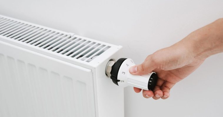 Co daje liść laurowy na grzejniku