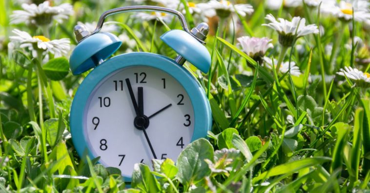 czas letni czy zimowy który lepszy