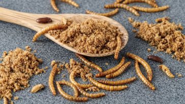 mącznik młynarek w jakich produktach