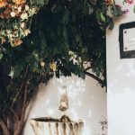 ogrody wertykalne co to jest