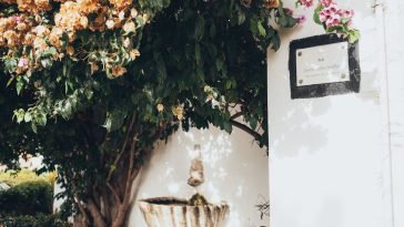 ogrody wertykalne co to jest