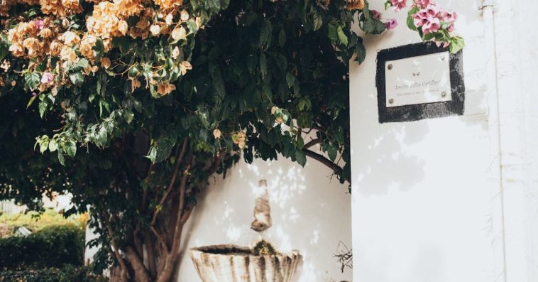 ogrody wertykalne co to jest