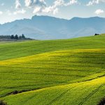 zrównoważone rolnictwo definicja