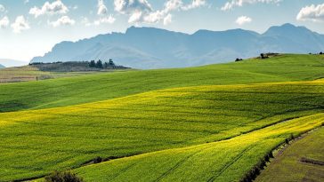 zrównoważone rolnictwo definicja