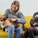 700 plus na psa i kota warunki