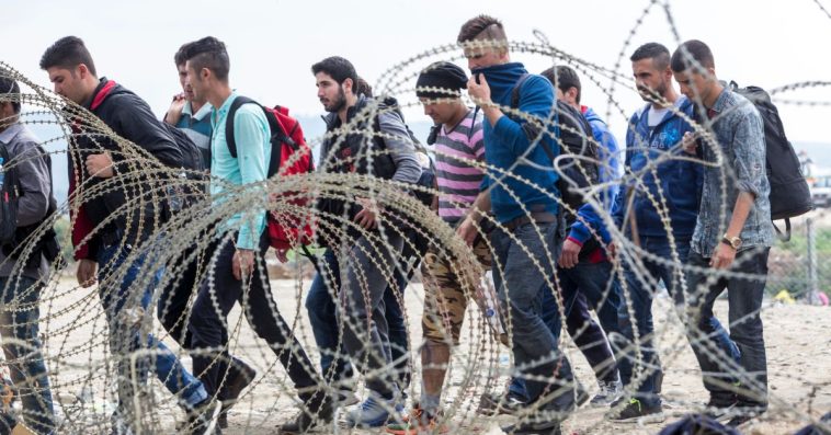 nielegalni migranci w niemczech