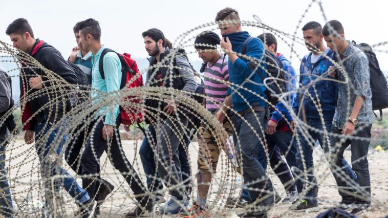 nielegalni migranci w niemczech