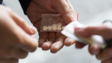 praga północ patologia