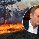 biebrzański park narodowy pożar