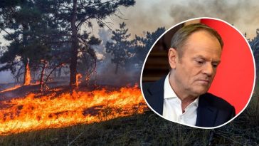 biebrzański park narodowy pożar