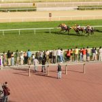 Ranking bukmacherów 2025 betside opinie