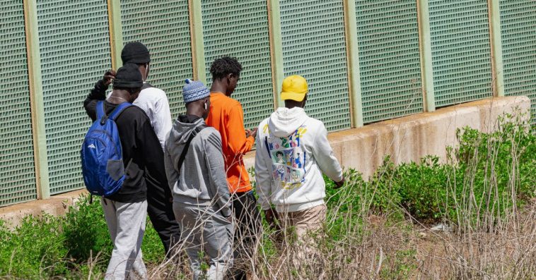 czerwony bór migranci