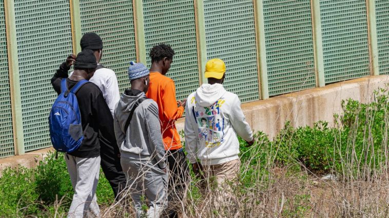 czerwony bór migranci