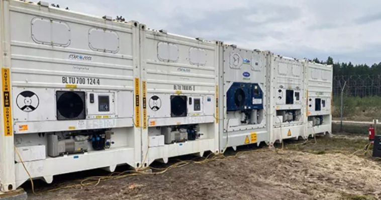 kontener chłodniczy wynajem