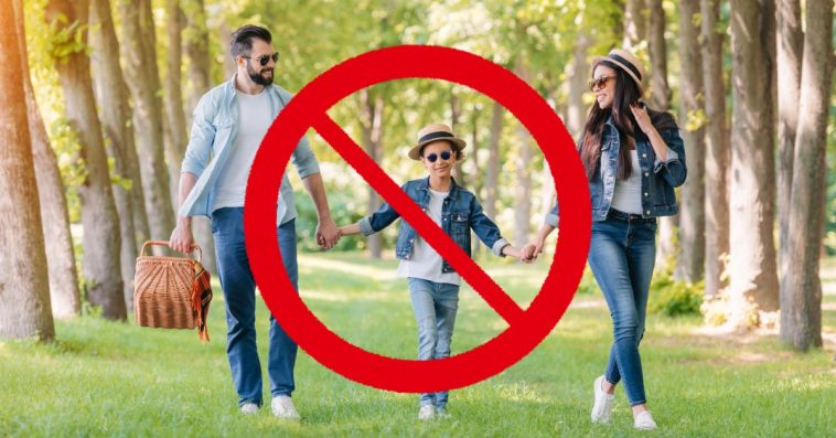 zakaz wstępu do lasu majówka