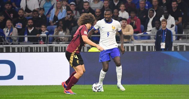 co oznacza kogut na koszulkach reprezentacji francji