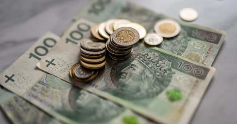 nbp srebrna moneta 10 zł