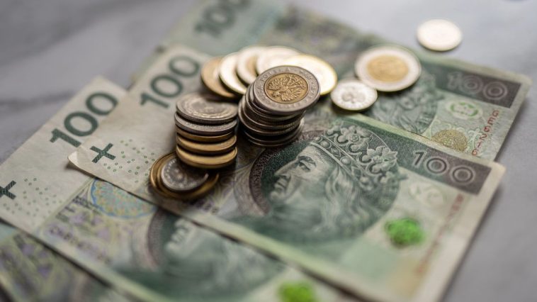 nbp srebrna moneta 10 zł