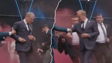 tusk w holandii incydent