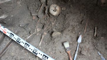 bytom szkielety dzieci