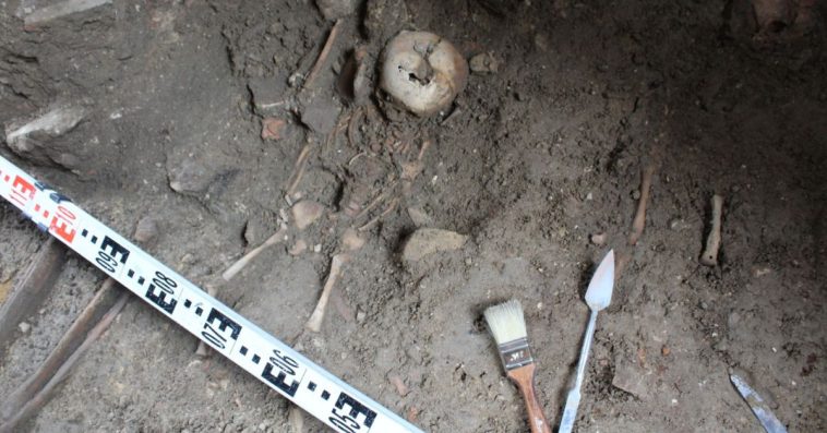 bytom szkielety dzieci