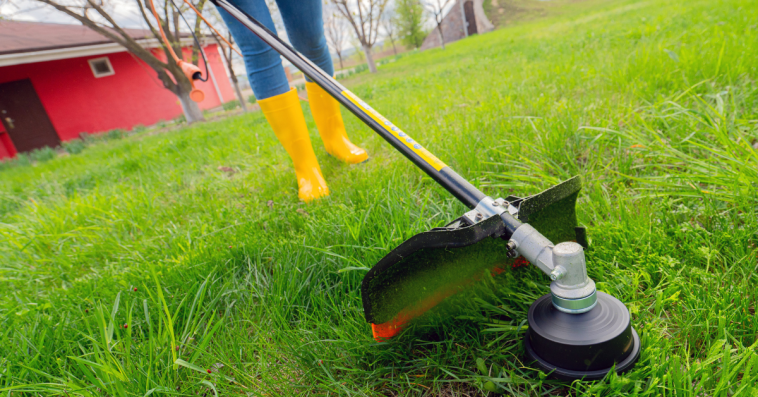 podkaszarka ogrodowa akumulatorowa