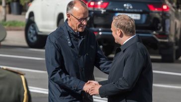 friedrich merz poglądy