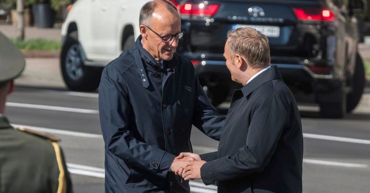 friedrich merz poglądy