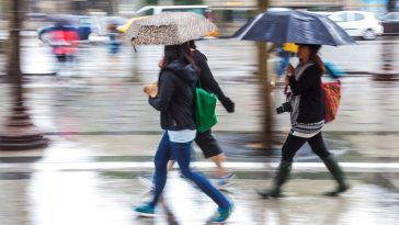 niż genueński do kiedy